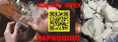 амф Камышлов