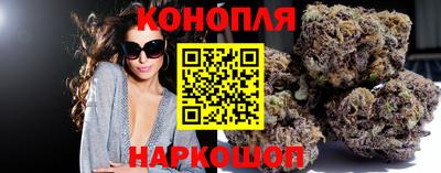 амф Камышлов