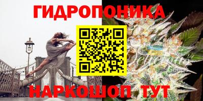 гидропоника Канаш
