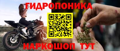 амф Камышлов