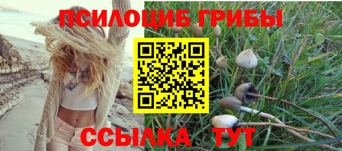 Галлюциногенные грибы мухоморы  Галлюциногенные грибы Magic Shrooms  Вход с VPN  Азов 